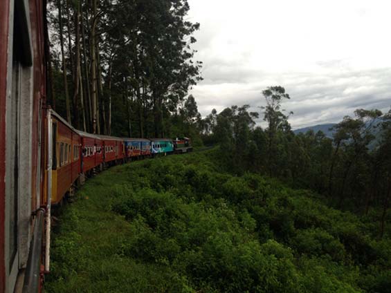 Sri Lanka Train Jungle